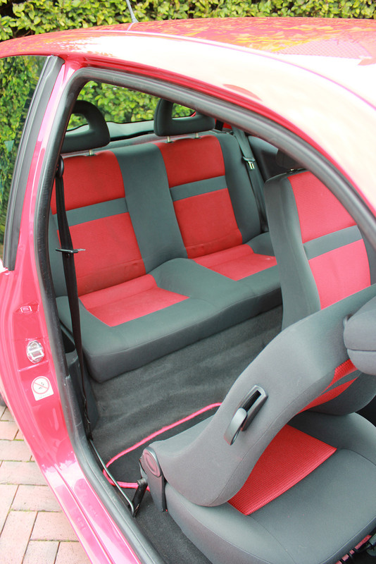 Lupo_interior4