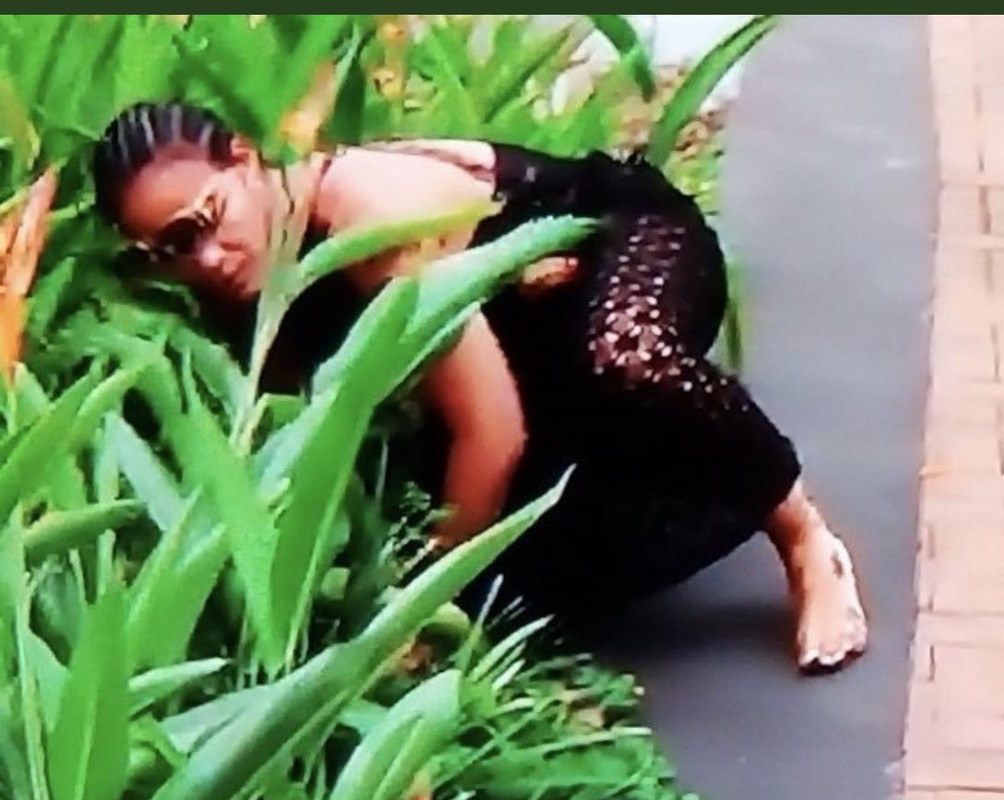 4798E670-F718-4CF3-94EC-B54D4E82136F