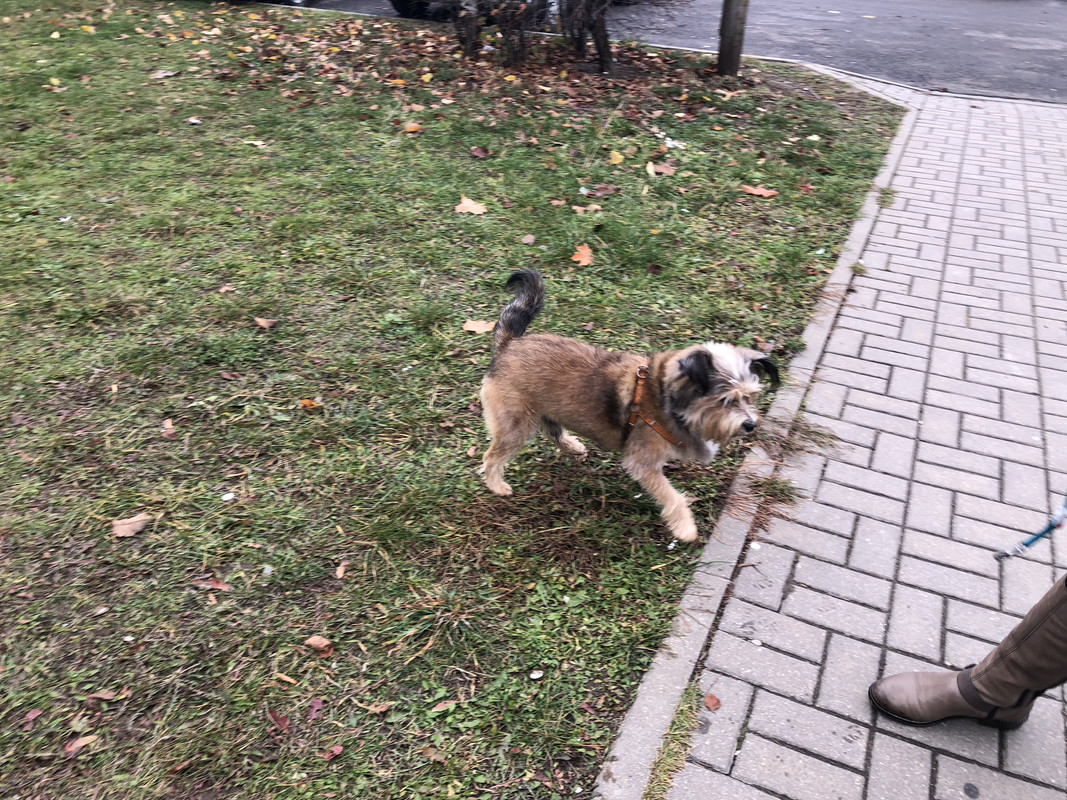 B00F6745-2172-47E6-997C-2EFE719C3D69