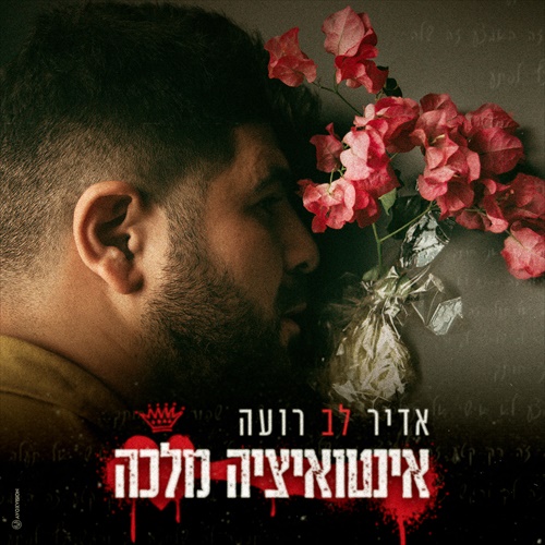 תמונה