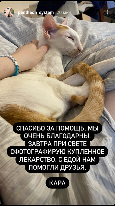 Screenshot_20211220_010518_com.instagram.android_edit_549306701865140