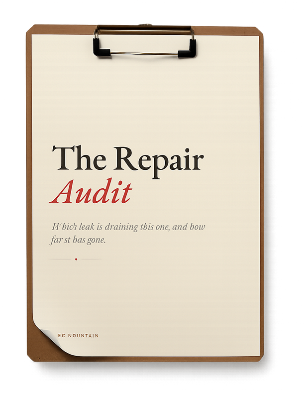 The Repair Audit