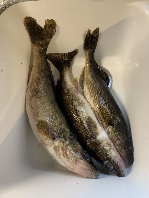 1DBE13C7-83B9-4F30-AE02-5553A5C64E12