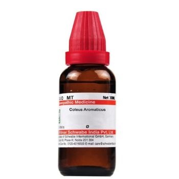 Willmar Schwabe India Coleus Aromaticus 1X (Q) (30ml)