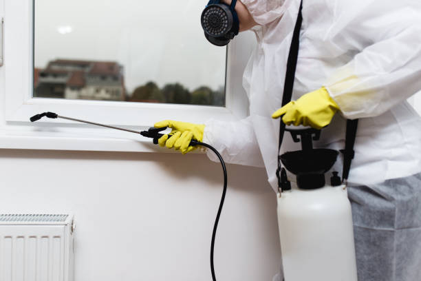 Kissimmee Termite Treatment