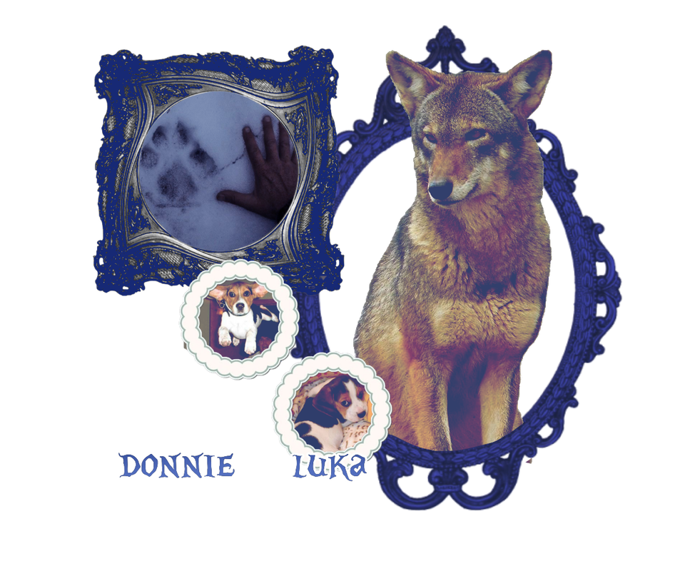 main graphic