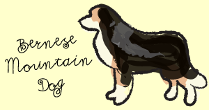 bernese