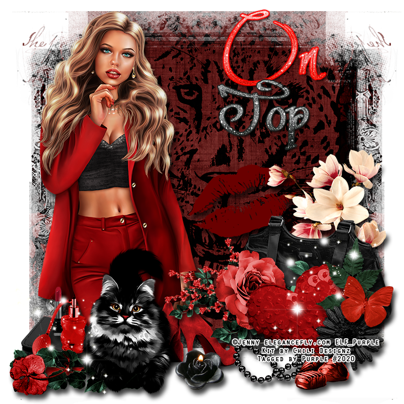 LeoVsCat-1OnTop