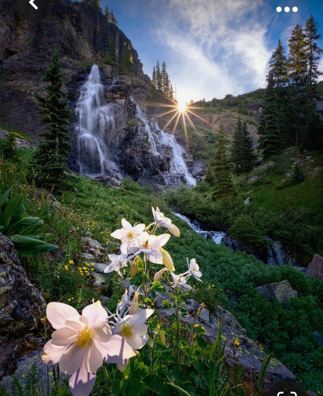 Screenshot_20231014_215221_Pinterest