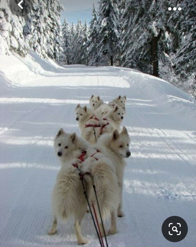 Screenshot_20231024_232736_Pinterest