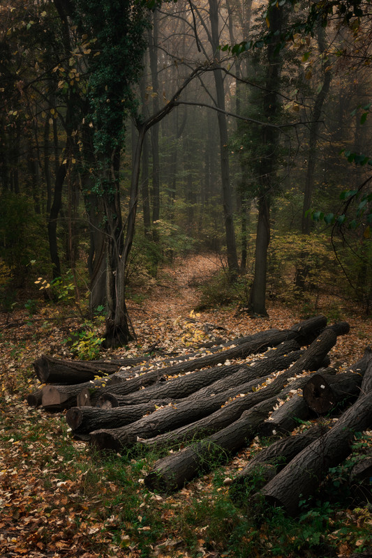IMG-3722-Edit.jpg