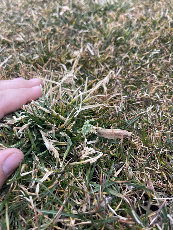 F4650065-F125-4CC9-B7ED-2A9BAE0774D9