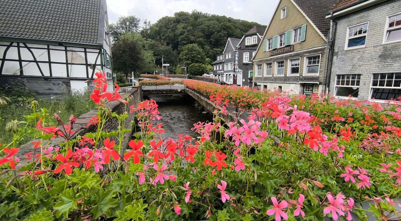 [Bild: IMG-20250730-110100b.jpg]