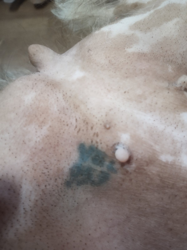 EFC420C2-7E4A-47CD-9830-9950430704ED