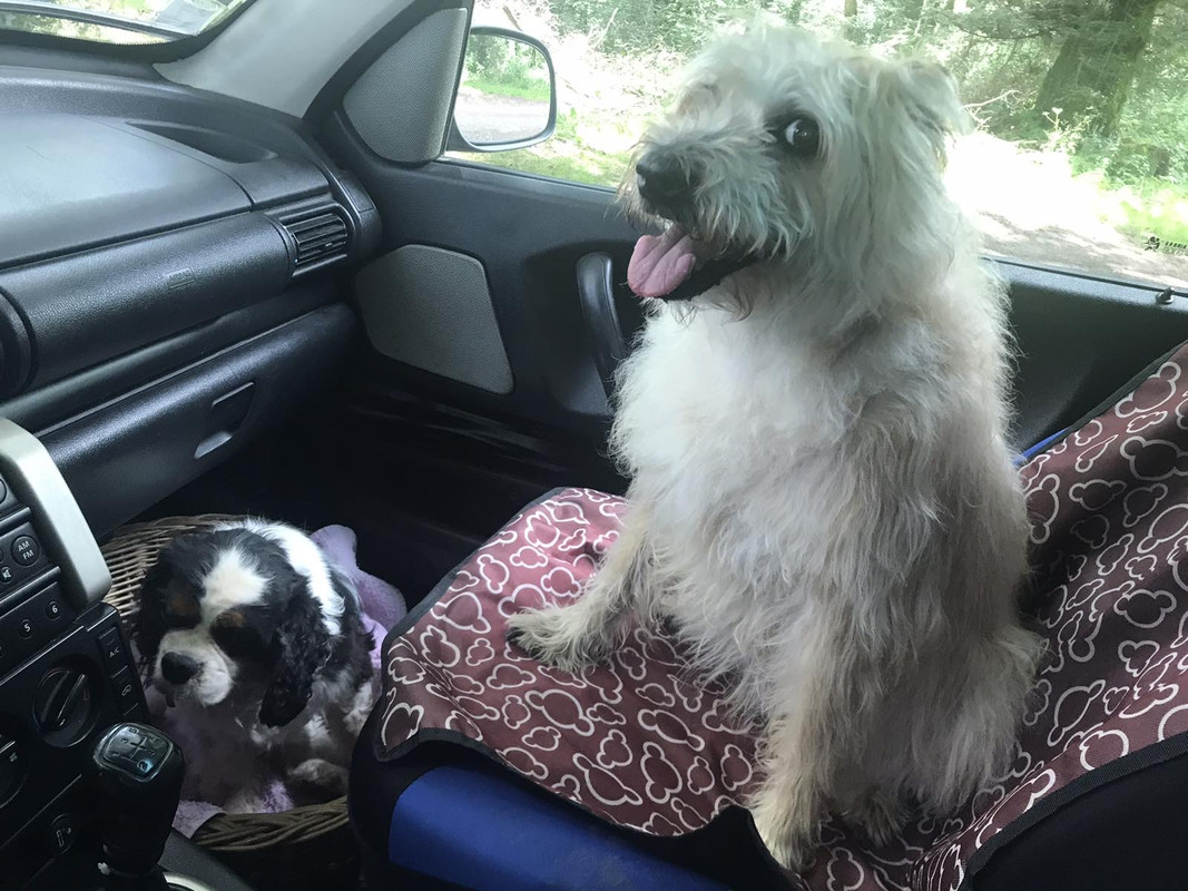 E62661D1-1501-4604-819D-35C9EC001839