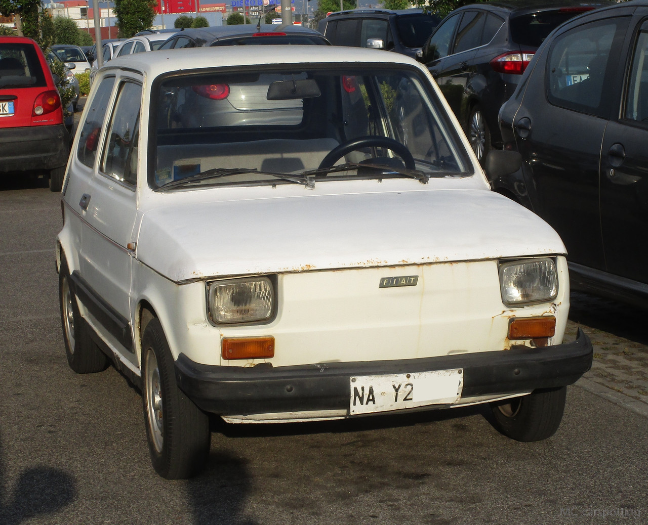 IMG-8525.jpg