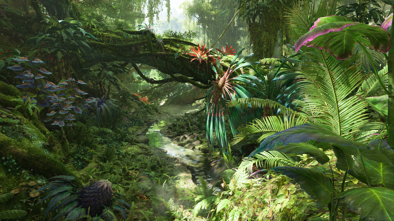 afop 2026 01 08 00 03 16 130