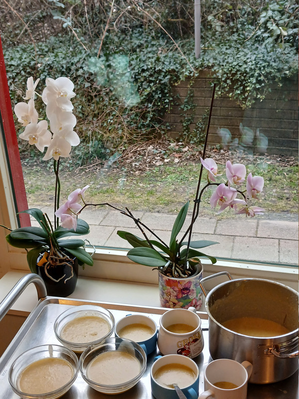 [Image: LVEG-GROENTEN-GAGOUT-MIX-CHAMP-ROOMSOEP-260126B.jpg]