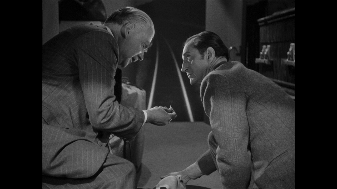 vlcsnap-2023-06-25-20h01m39s336