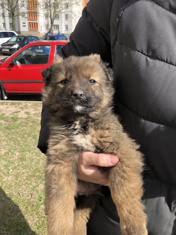 D74702E9-0A4E-4388-A54D-666EEE99E1E6