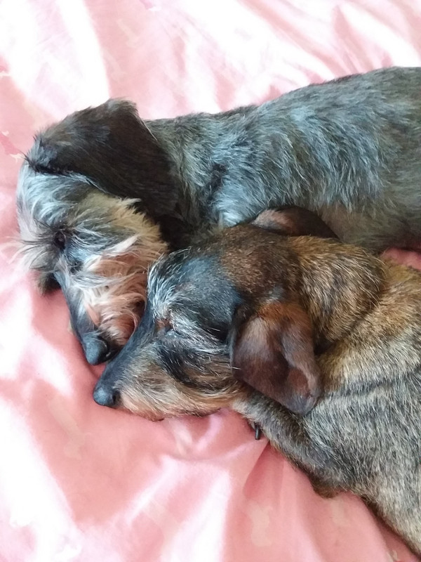 [Image: 20240817-073228.jpg]