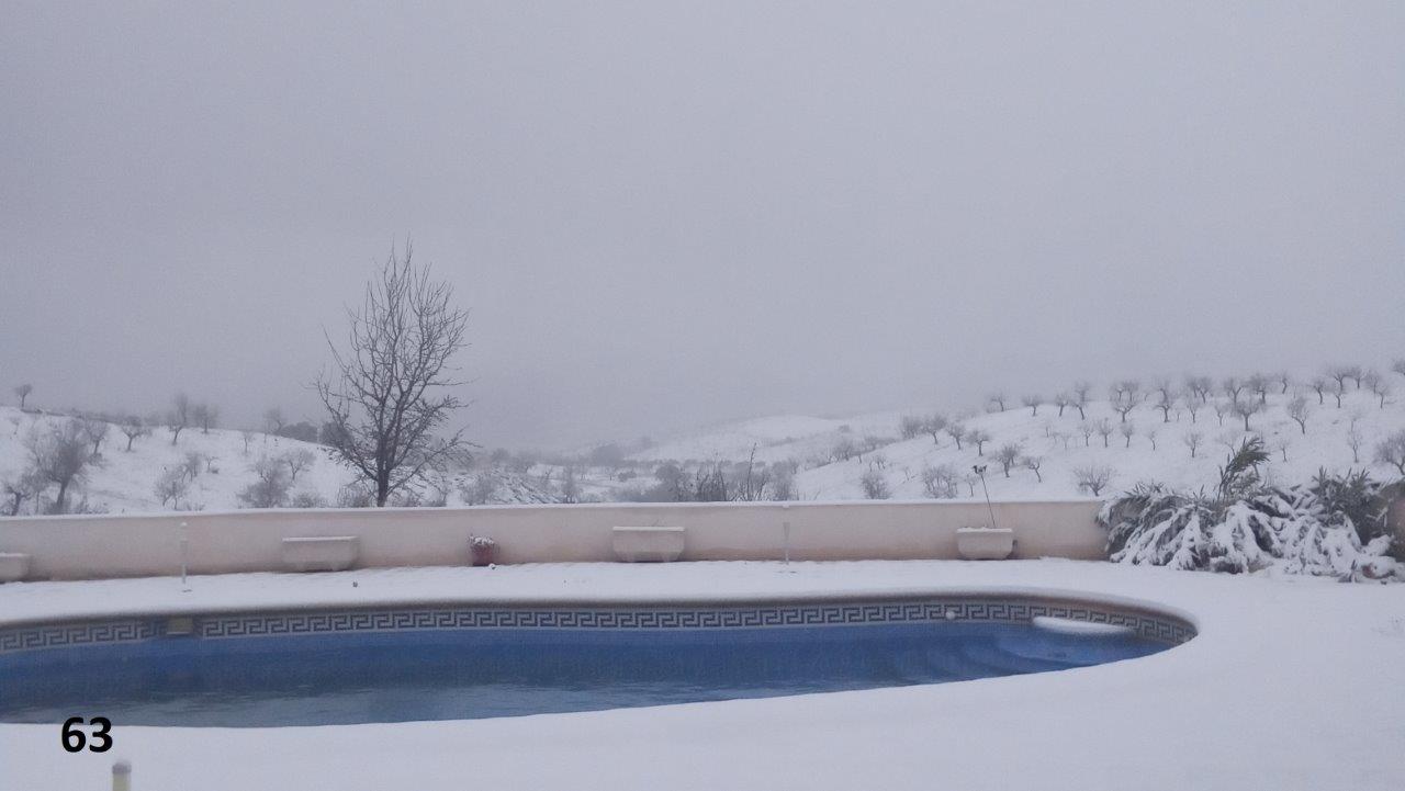 63 AL2344166973398509706