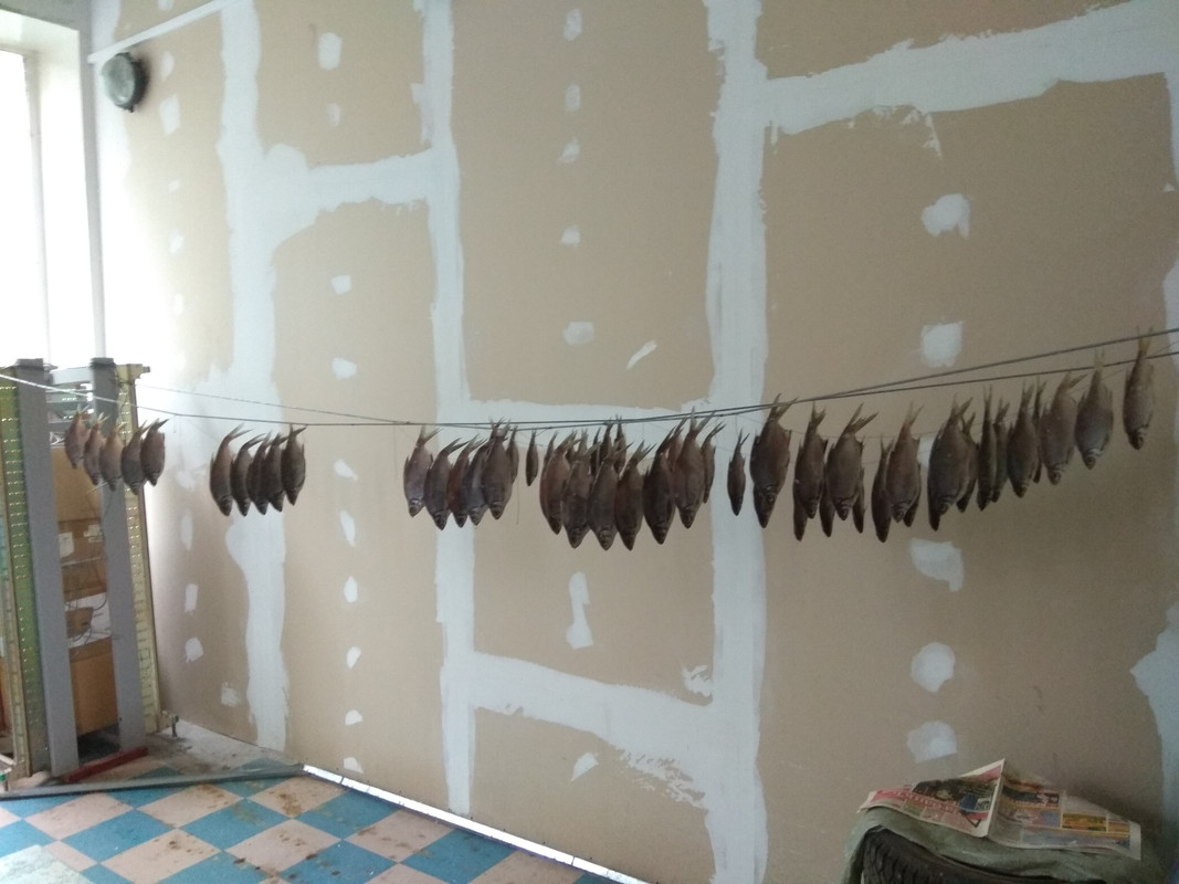 У-К авг рыба 2017