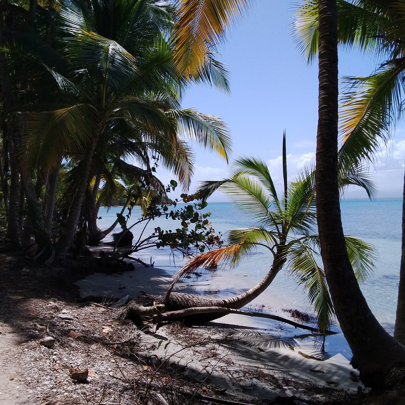 Зимовка в Центральной Америке-2024, семь стран за два месяца - не съесть, но надкусить. Зимовка в Центральной Америке-2024, семь стран за два месяца - не съесть, но надкусить.