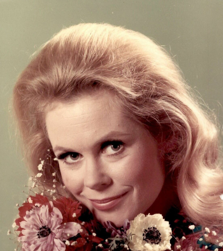 elizabeth montogomery d29