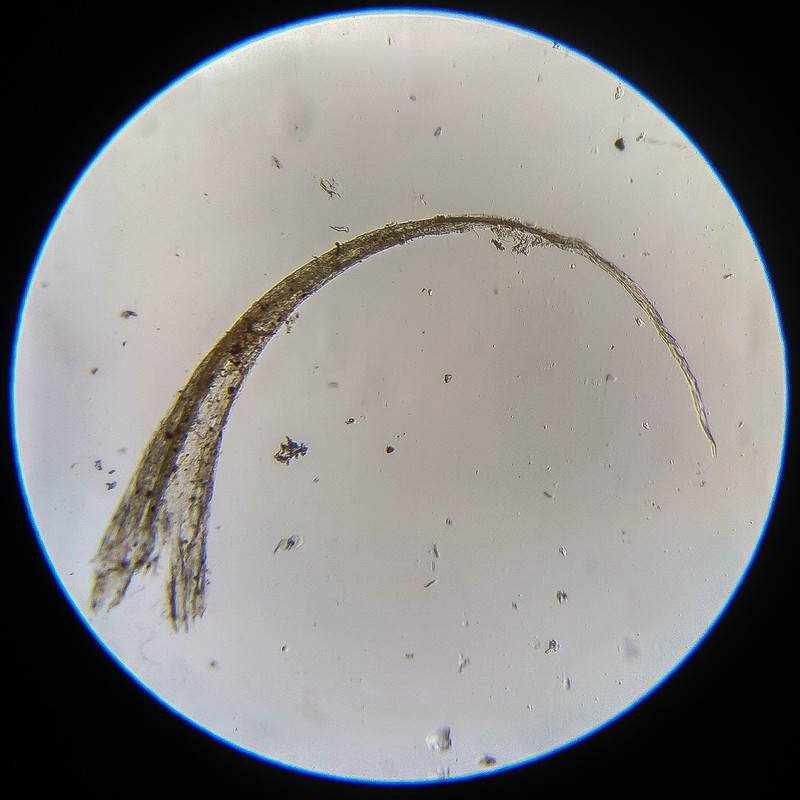 IMG 20250614 122145 HDR