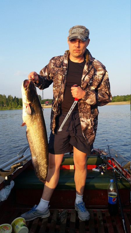 Устинов А. 2015..