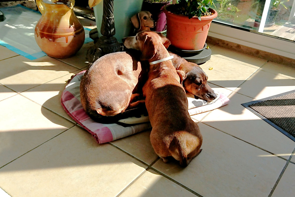 [Image: DSC-3764.jpg]