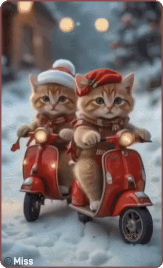 081225-chats-vespa-echarpe