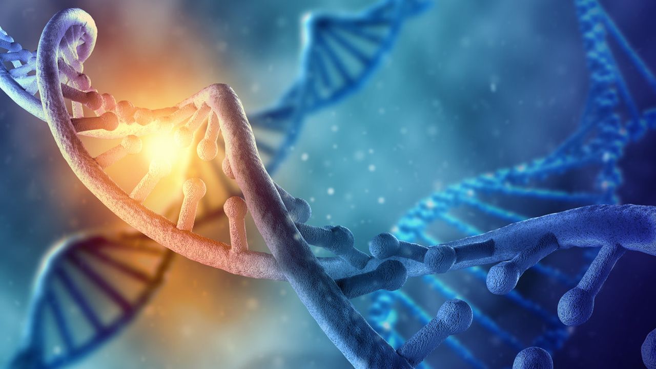 dna 45 mila anni scoperta storia nascosta evoluzione umana