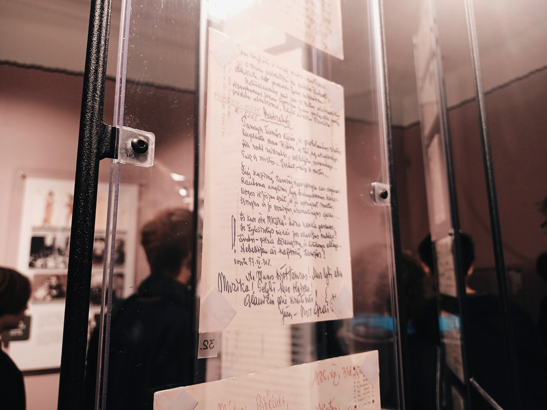 M. ir K. Petrauskų Namai