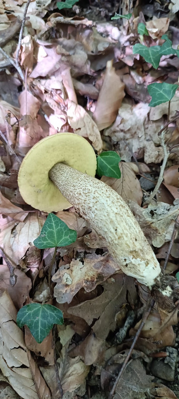 WhatsApp Image 2023-07-31 at 13.04.58 (2)