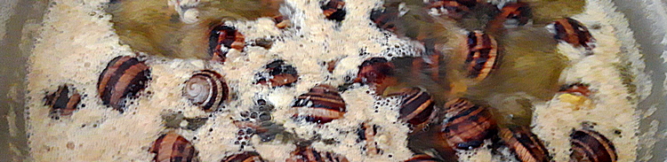 20190429-121842