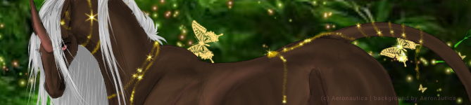 Banner + Forest brown Unicorn