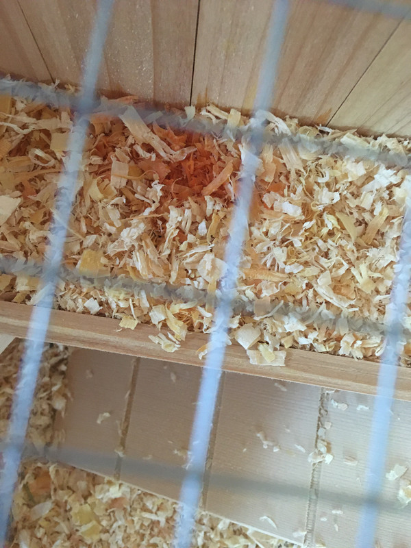 1BB5176A-8196-43B9-9F9E-F9508F04D4B5