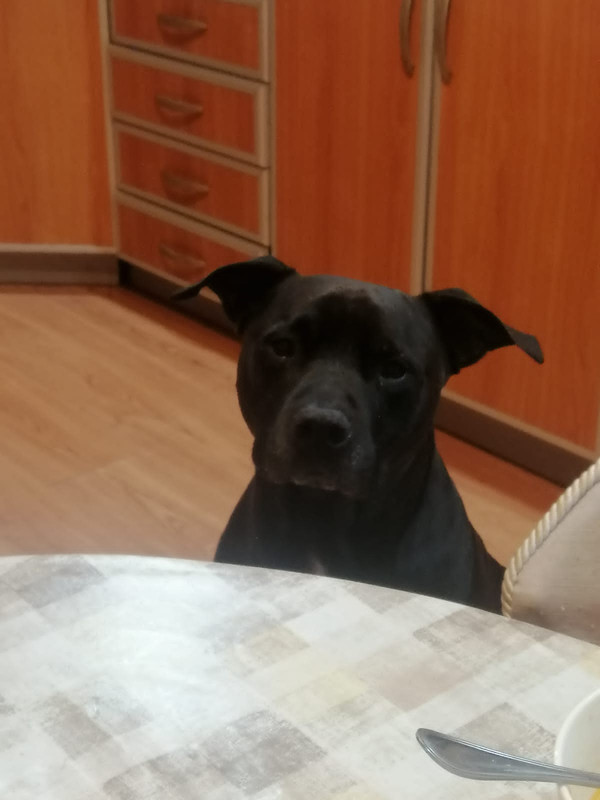 6CB80DE5-C37D-404E-8190-AA17D29D2437