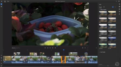 Adobe Premiere Rush CC Fundamentals