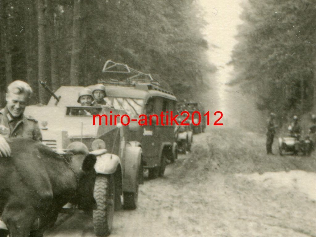 Foto, Wehrmacht, Kuh hält den Vormarsch auf, KFZ