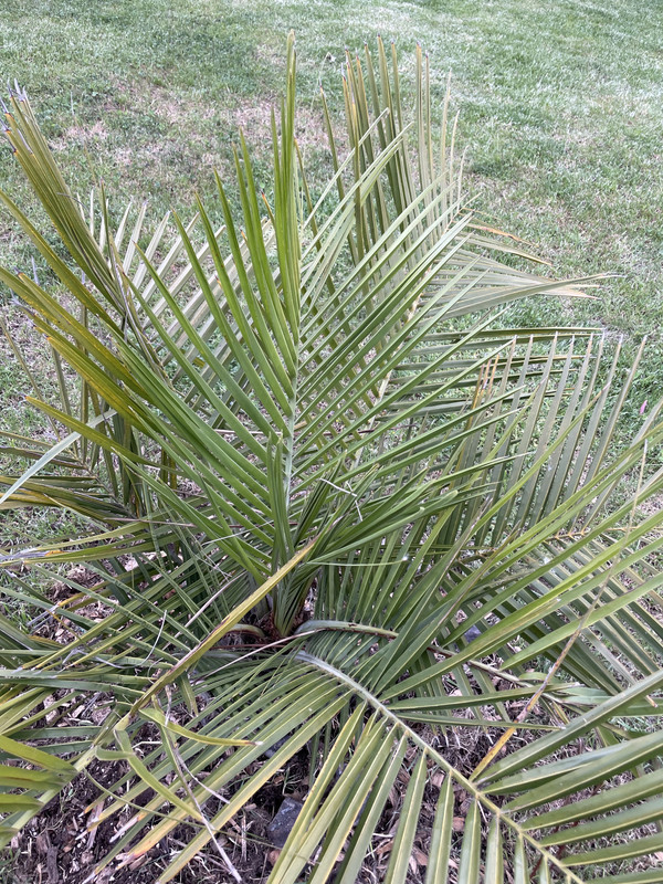 444F06B3-9FFD-46E9-8DD8-7444320A030E