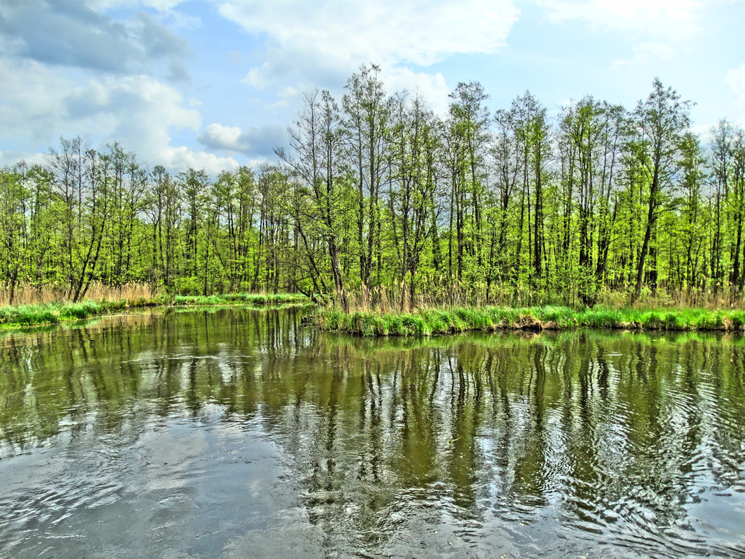 11.20 - DSC09553 (Czesio1)