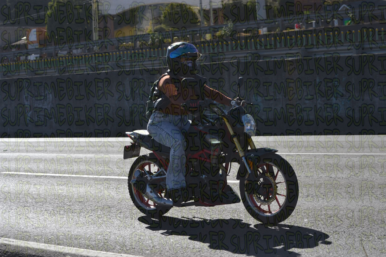 DSC 0461