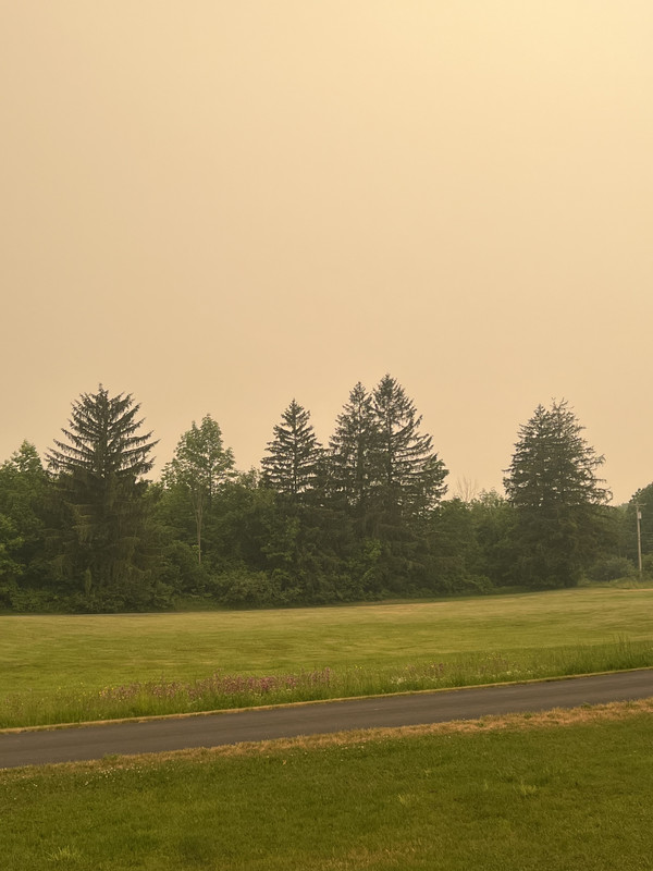 AA135228-5D09-4B38-ADAD-5661B2992891