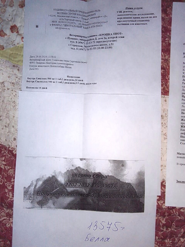 IMG-20241009-WA0367.jpg