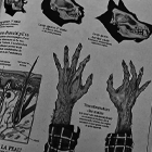 https://i.postimg.cc/g2BwzbX2/00004.png