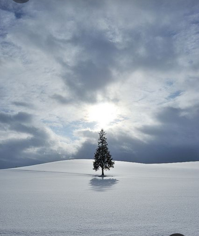 Screenshot_20230531_222037_Pinterest