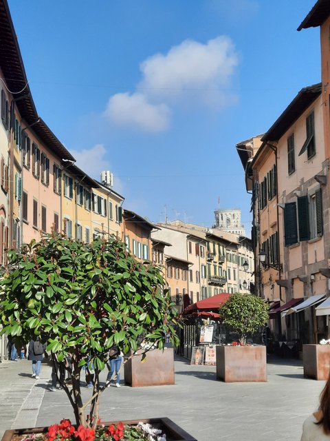 DIA 9. DE LUCCA A PISA Y EL RETORNO. - Respirar y saborear la Toscana. 9 días (1)